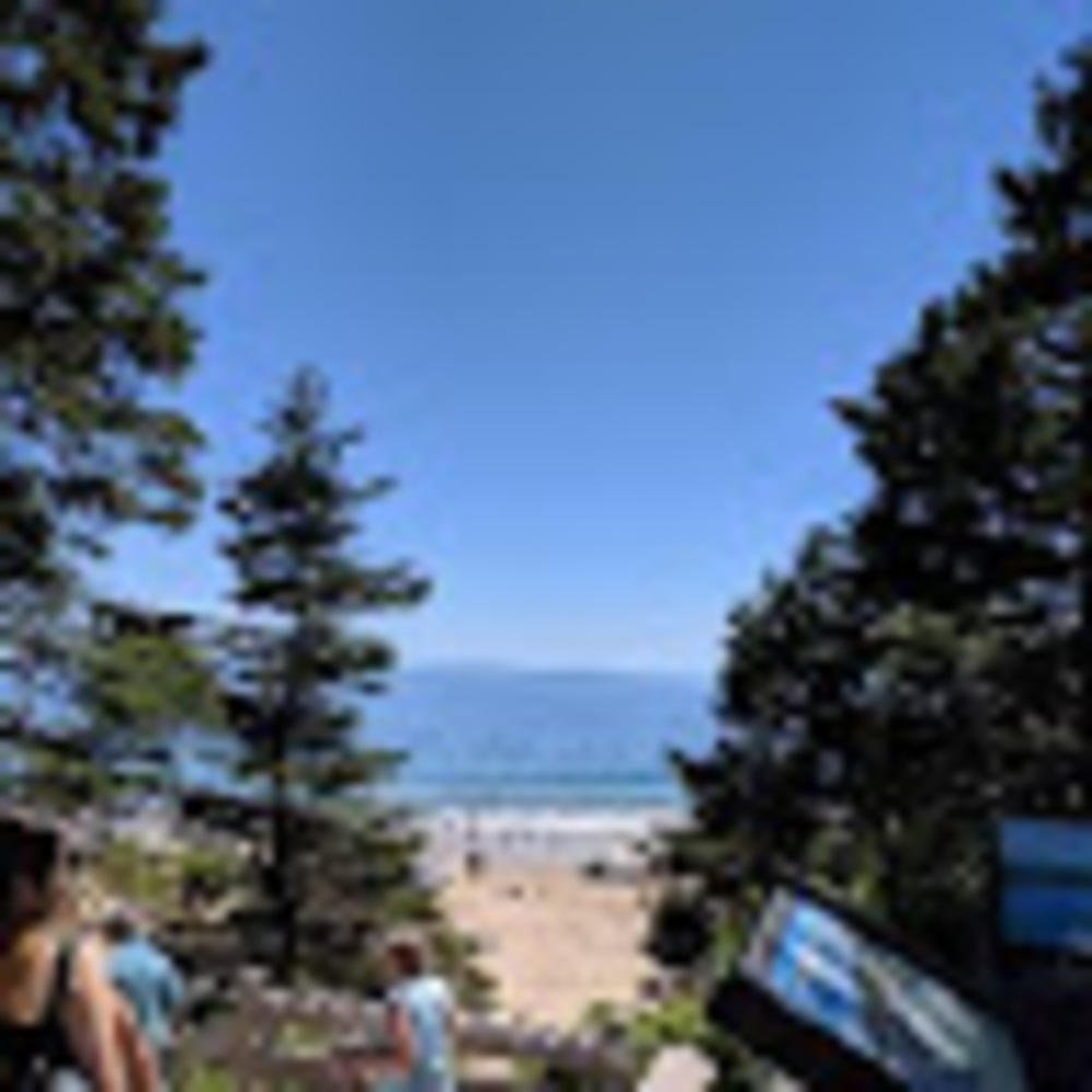 Meet your Posher, Eva